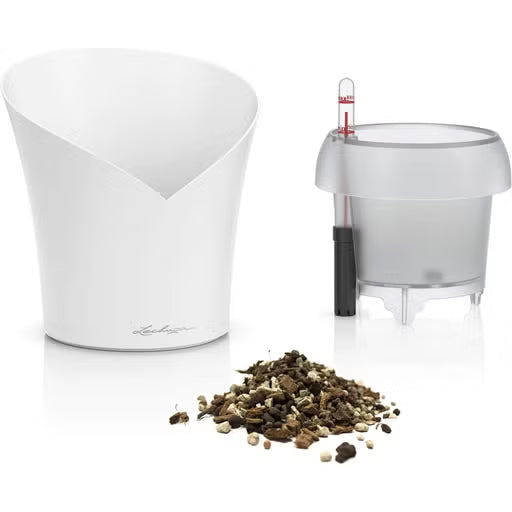 Ghiveci pentru orhidee